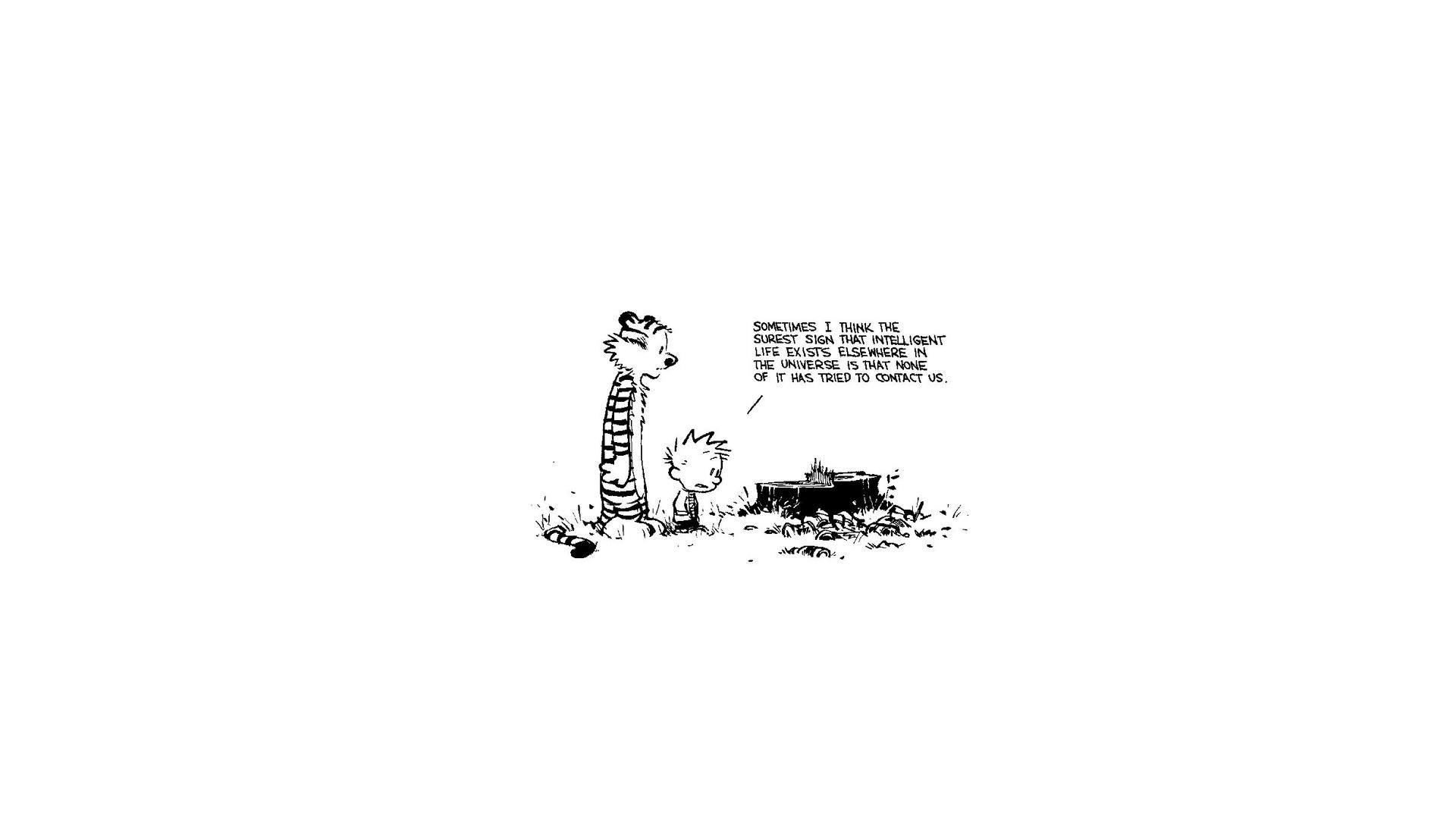 Download Calvin Calvin Hobbes Comic Calvin Hobbes Hd - vrogue.co