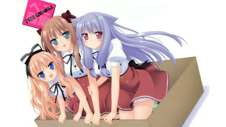 Anime Mayoi Neko Overrun! HD Desktop Wallpaper | Background Image