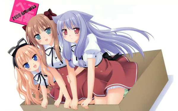 Anime Mayoi Neko Overrun! HD Desktop Wallpaper | Background Image