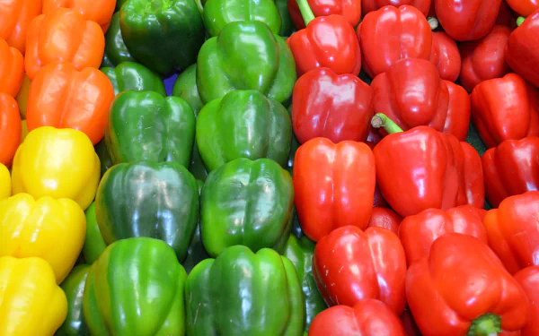  Different Coloured Capsicum In A Fruit And Veg Shop