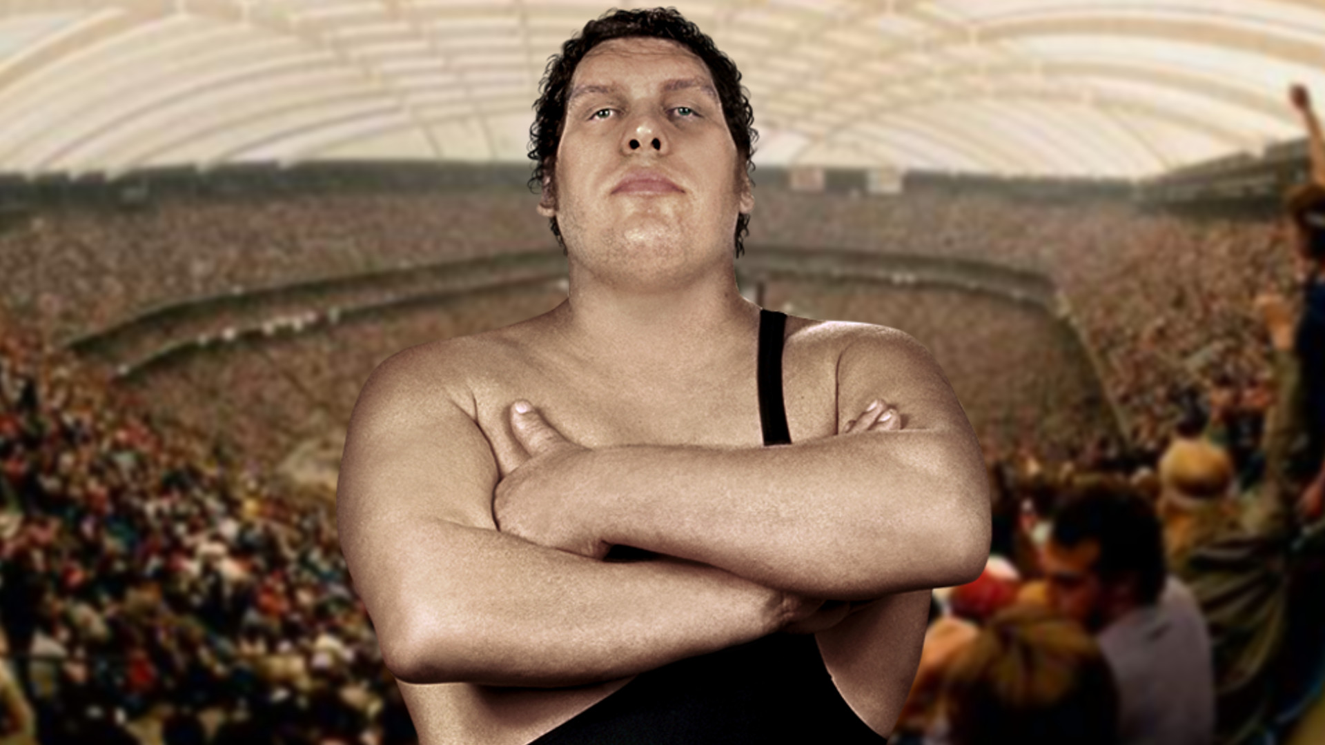 Movie WrestleMania III HD Wallpaper | Background Image