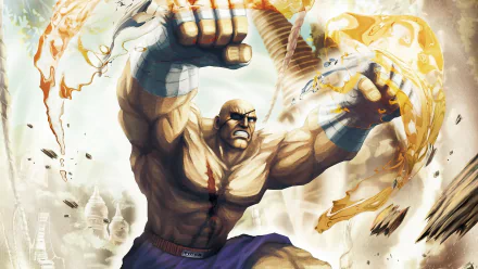 video game Street Fighter HD Desktop Wallpaper | Background Image