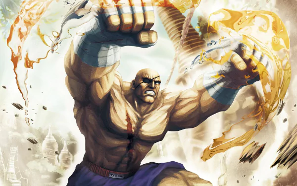 video game Street Fighter HD Desktop Wallpaper | Background Image
