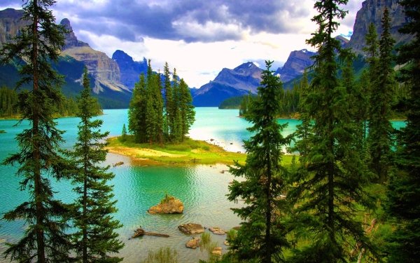 Nature Lake Lakes Mountain Pine Islet HD Wallpaper | Background Image