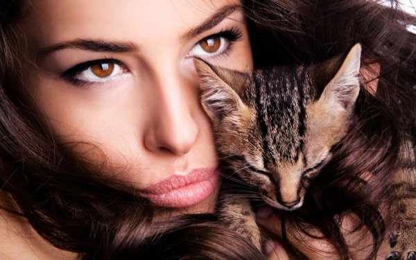 Women Face Cat HD Wallpaper | Background Image
