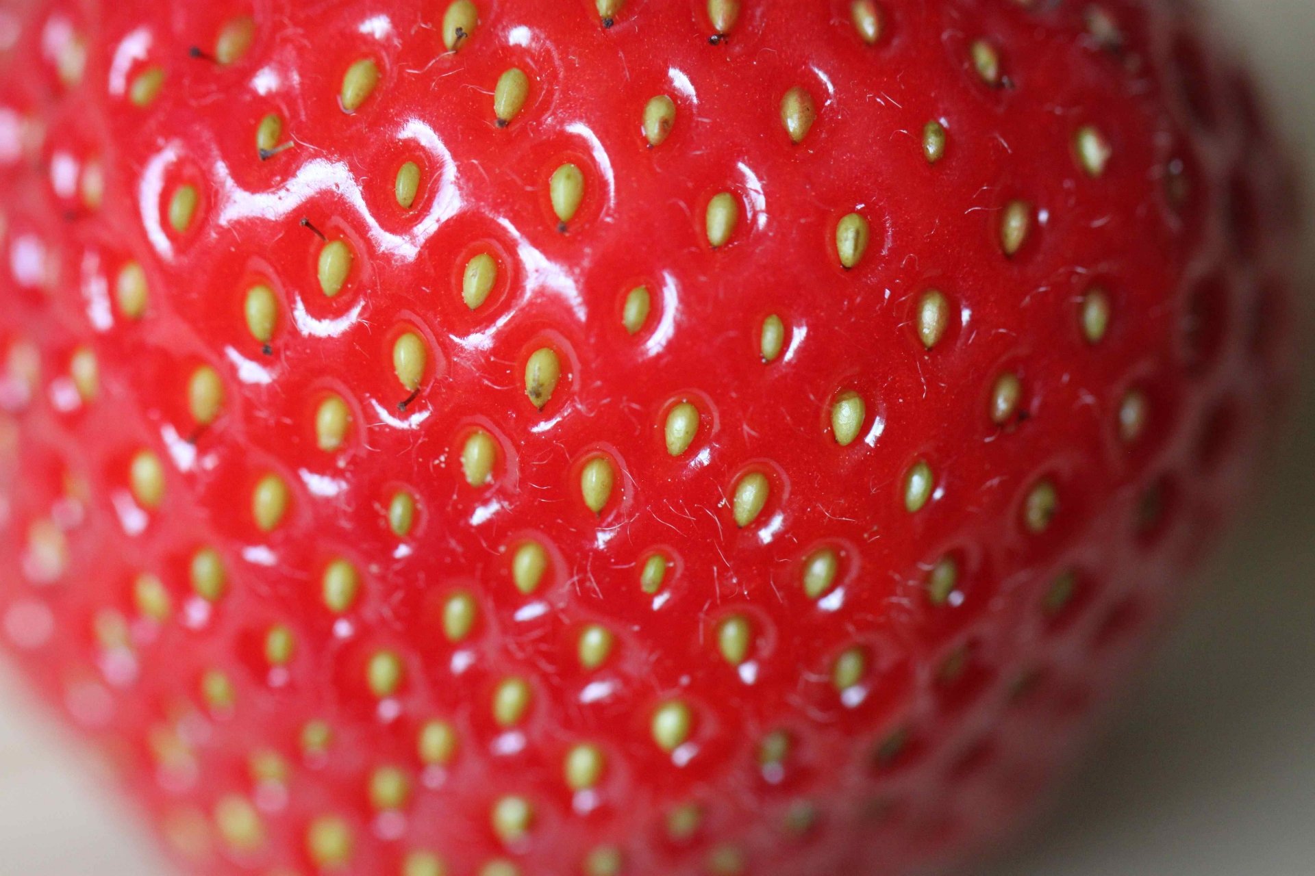 Strawberry 4k Ultra HD Wallpaper Background Image 4800x3200 Strawberry 4k Ultra HD Wallpaper Background Image 4800x3200