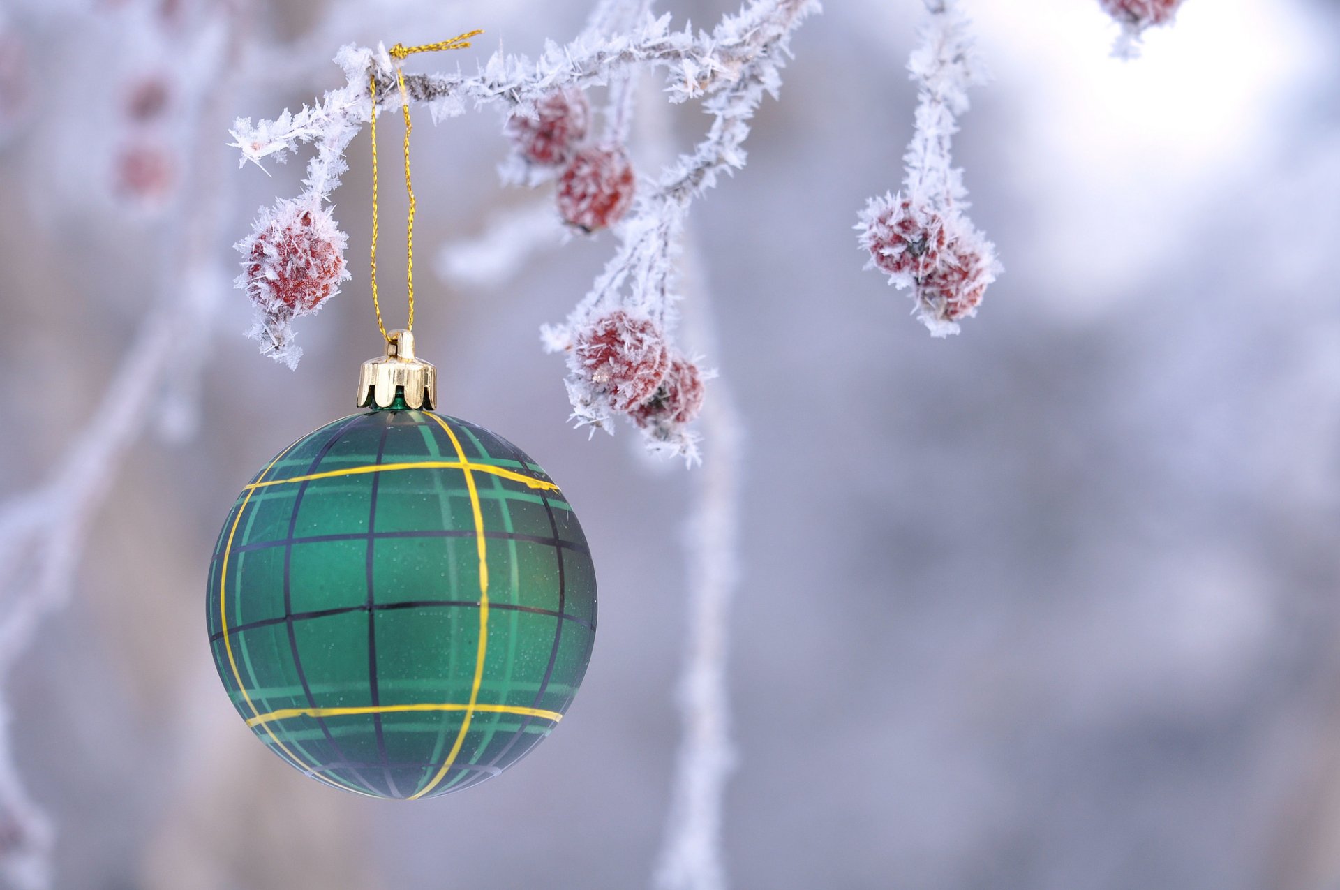 HD PC desktop wallpaper featuring a frozen Christmas ornament hanging on a frosty branch with icy red berries, capturing a serene holiday winter scene.