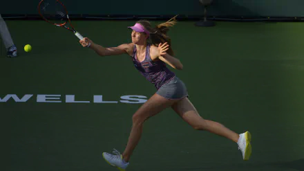 rimonta Fognini Sports HD Desktop Wallpaper | Background Image