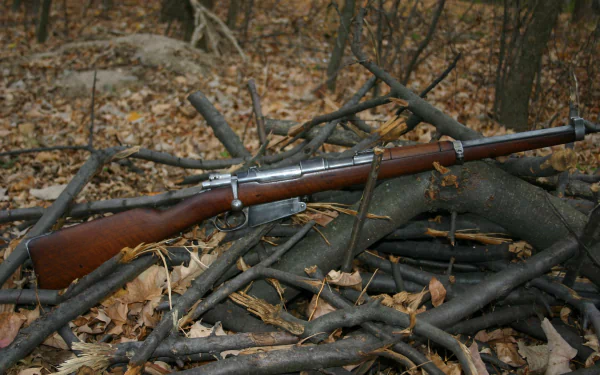 man made mauser rifle HD Desktop Wallpaper | Background Image