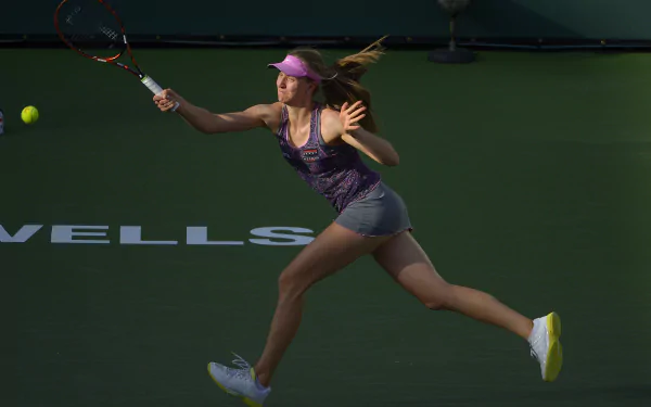 rimonta Fognini Sports HD Desktop Wallpaper | Background Image