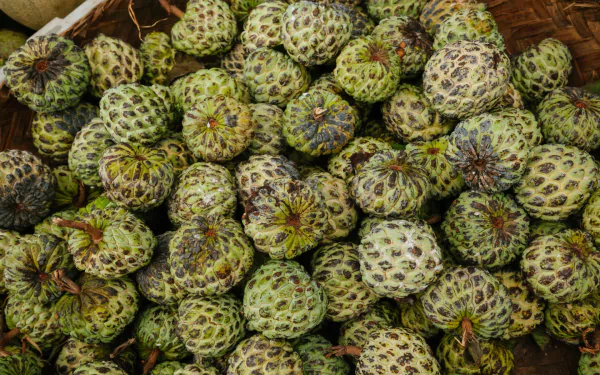 food Sugar Apple HD Desktop Wallpaper | Background Image