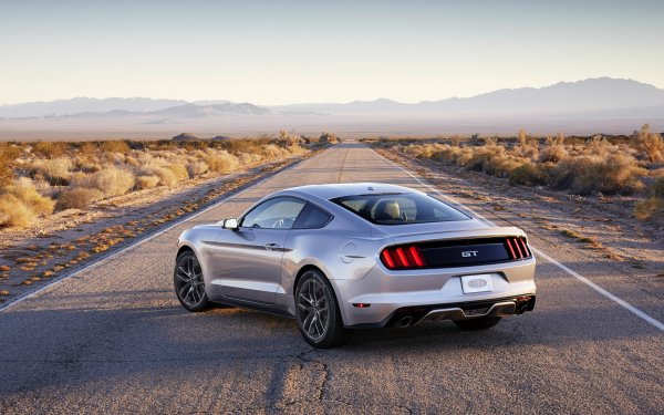 Vehicles 2015 Ford Mustang GT Ford Car Silver Car Ford Mustang Road Desert HD Wallpaper | Background Image
