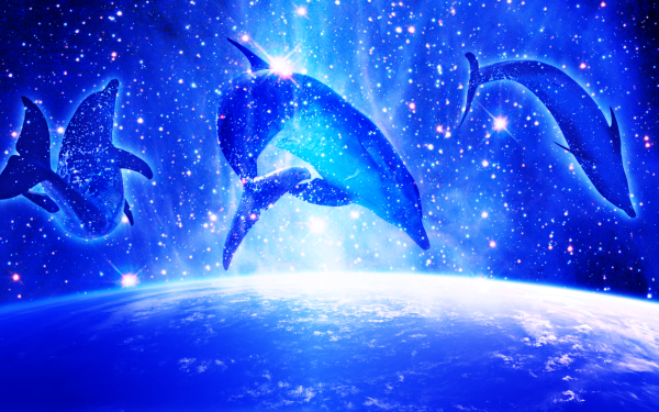 Animal Dolphin Space HD Wallpaper | Background Image