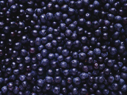 food blueberry HD Desktop Wallpaper | Background Image
