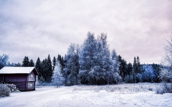 Man Made Cabin Snow HD Wallpaper | Background Image