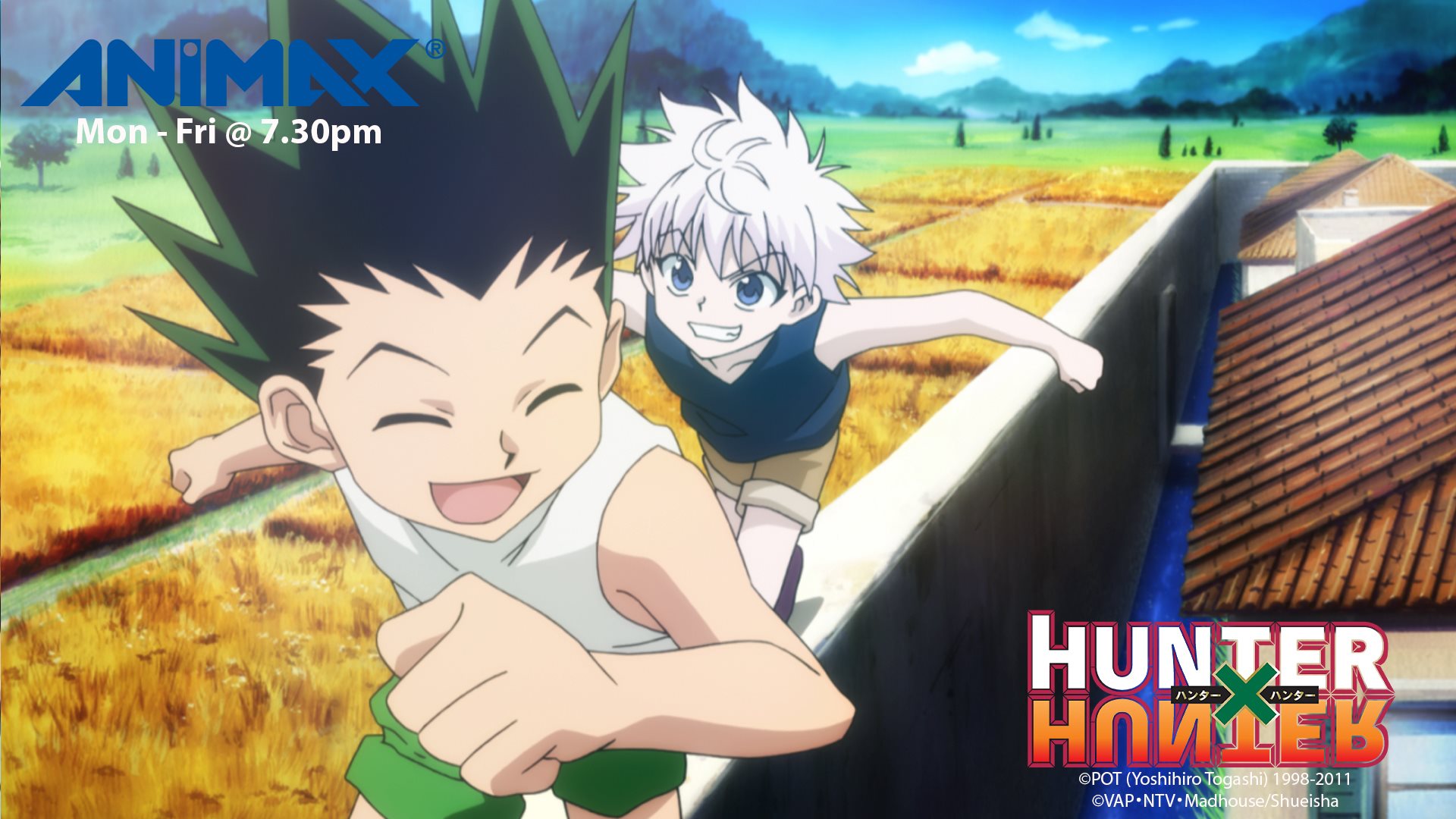 Hunter x Hunter Gon And Killua Leorio Paradinight HD Anime Wallpapers, HD  Wallpapers