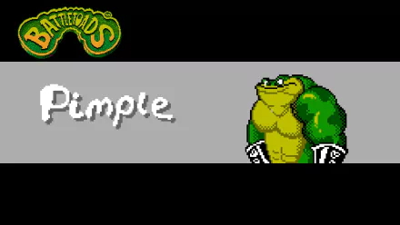 video game battle toads HD Desktop Wallpaper | Background Image