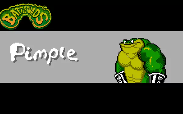 video game battle toads HD Desktop Wallpaper | Background Image