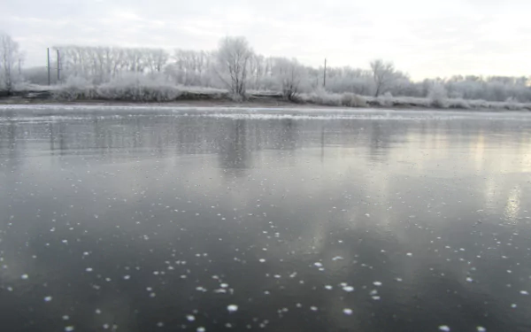 nature ice HD Desktop Wallpaper | Background Image