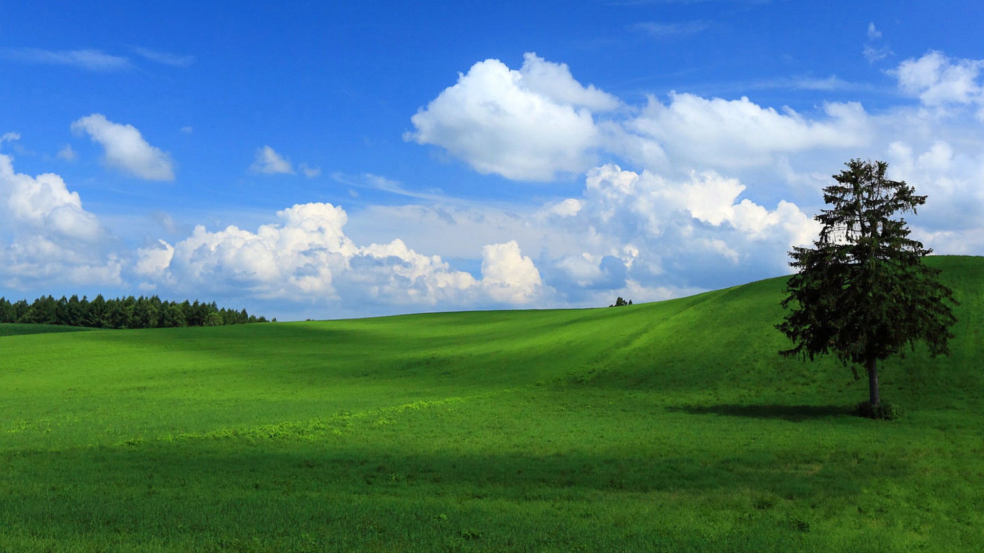 Green Field Blue Sky