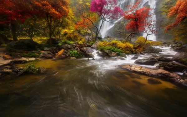 Earth Waterfall Waterfalls Stream Fall HD Wallpaper | Background Image