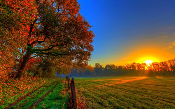 HD desktop wallpaper featuring a serene autumn field at sunset, with vibrant orange and red trees under a clear blue sky.