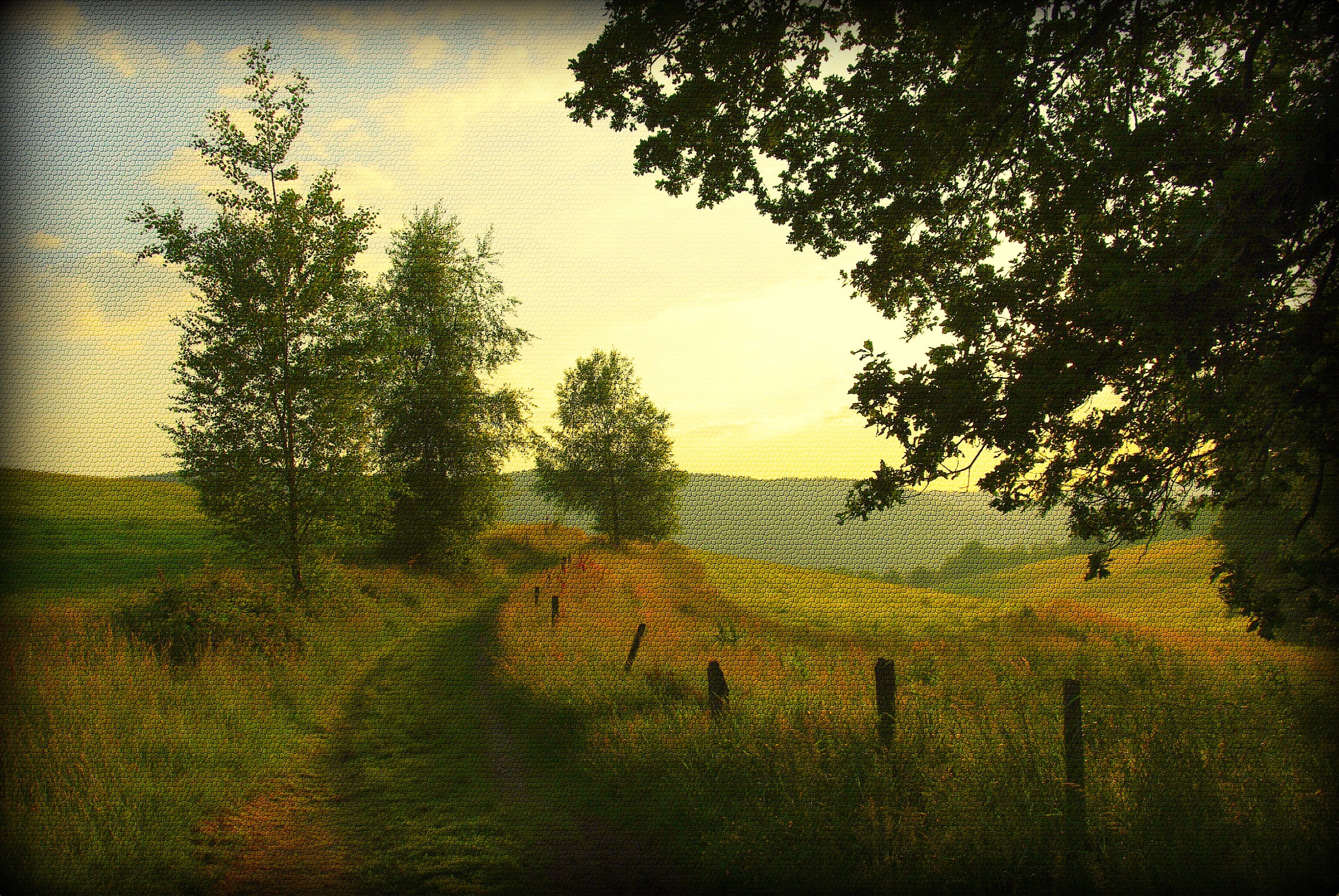 Path HD Wallpaper | Background Image | 2736x1830