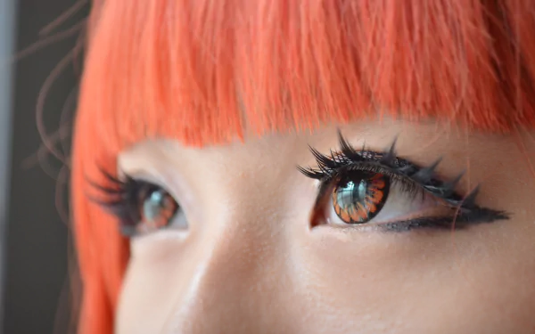 woman eye HD Desktop Wallpaper | Background Image