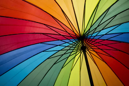 photography umbrella HD Desktop Wallpaper | Background Image