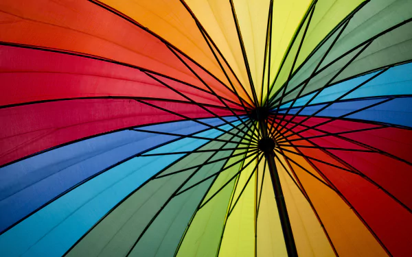 photography umbrella HD Desktop Wallpaper | Background Image