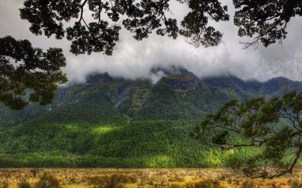 Earth Mountain Mountains New Zealand Fog HD Wallpaper | Background Image