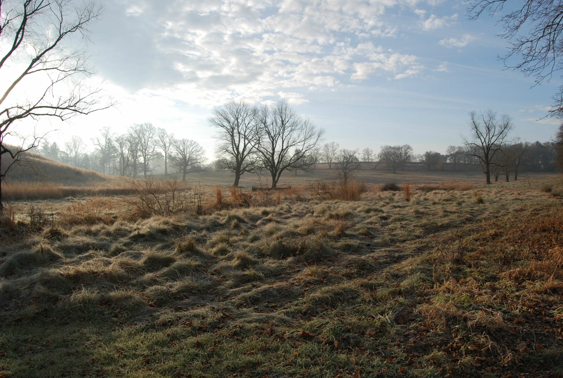 Download Nature Field HD Wallpaper