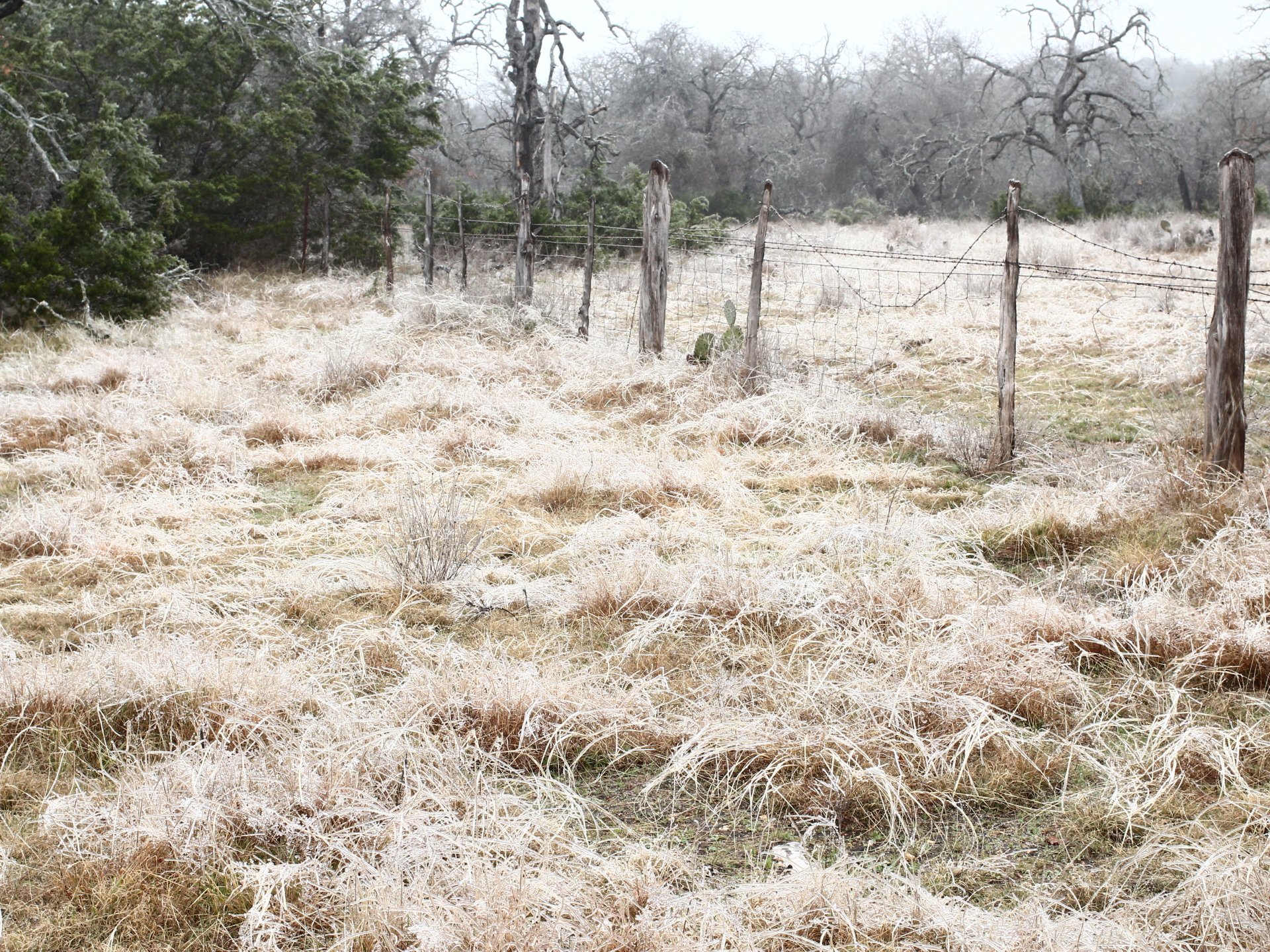 Download Man Made Fence 4k Ultra HD Wallpaper by Zachary