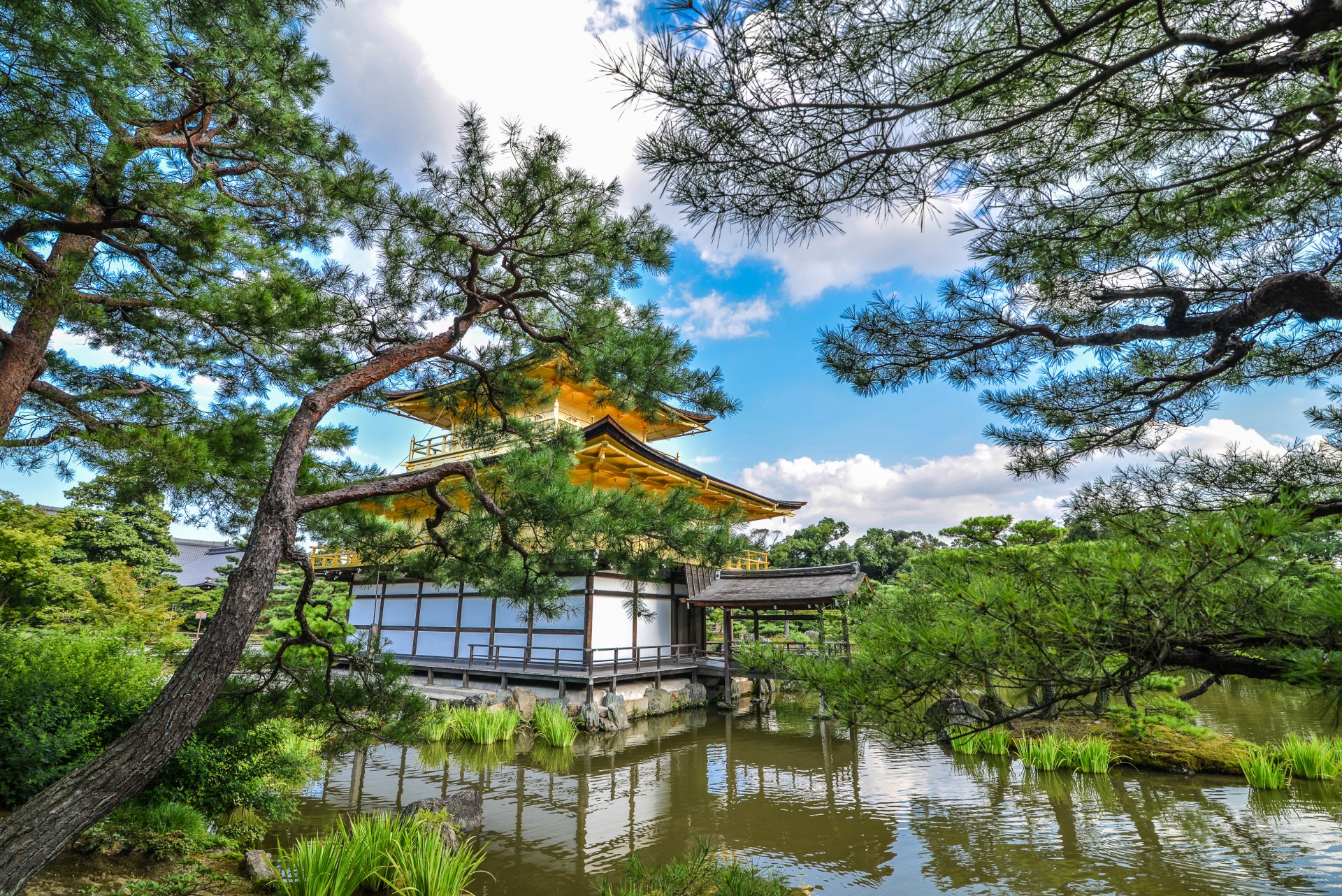 Download Pond Japan Kyoto Religious Kinkaku-ji 4k Ultra HD Wallpaper