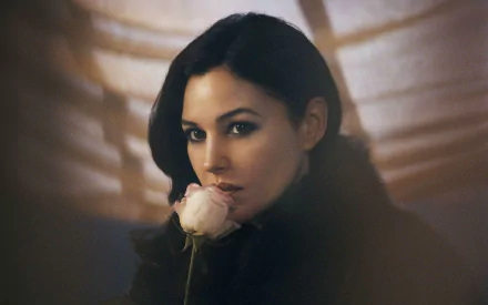 HD desktop wallpaper featuring celebrity Monica Bellucci in a soft, intimate portrait holding a pale rose against a blurred, warm-toned background.