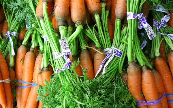 A vibrant collection of fresh carrots with green tops, tied with labels, displayed for a colorful food-themed HD desktop wallpaper and background.