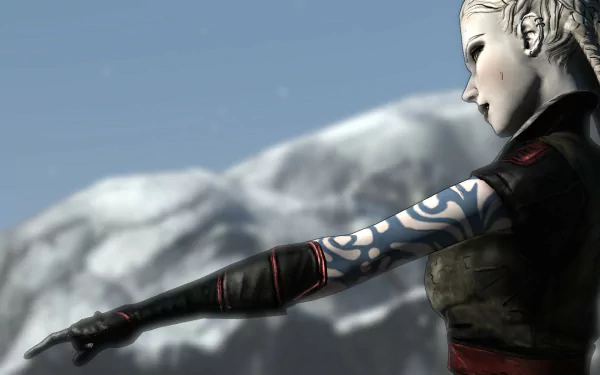 video game Borderlands HD Desktop Wallpaper | Background Image
