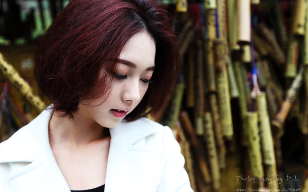 Taiwanese asian model woman Lín Yǔ HD Desktop Wallpaper | Background Image