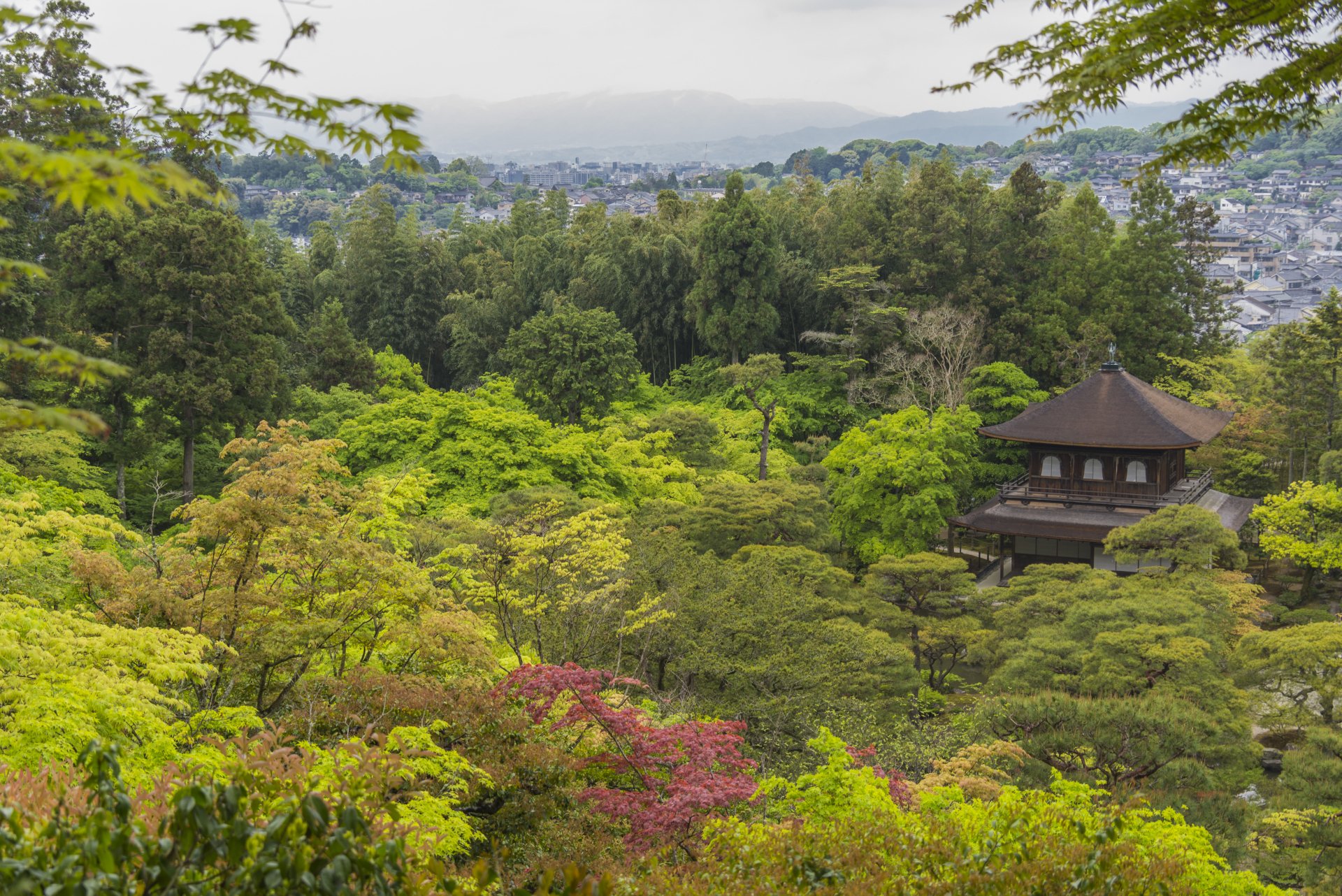 A serene 4K Ultra HD view of the Zen garden surrounding Ginkaku-ji (Temple of Shining Mercy) in Kyoto, Japan, showcasing lush greenery and traditional temple architecture.