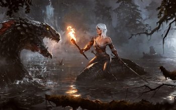 750 The Witcher 3 Wild Hunt Hd Wallpapers Background Images