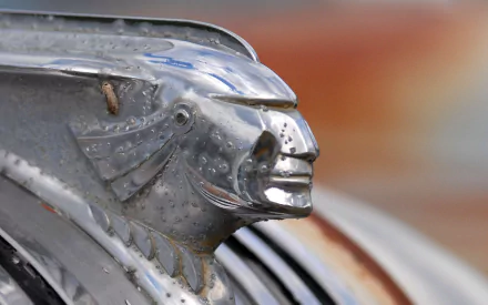 photography Hood Ornament HD Desktop Wallpaper | Background Image