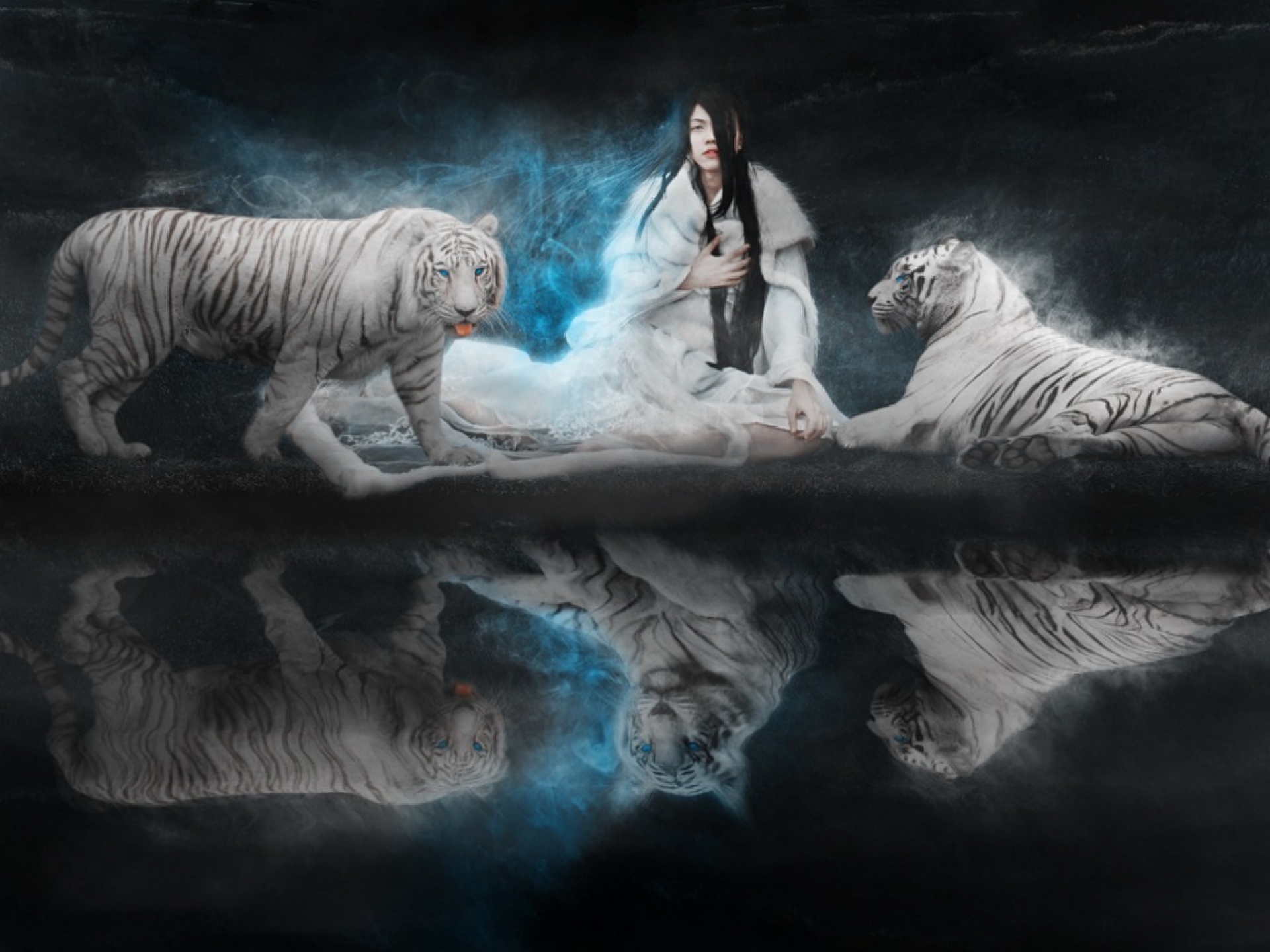 White Tiger Images  Browse 16212 Stock Photos Vectors and Video   Adobe Stock