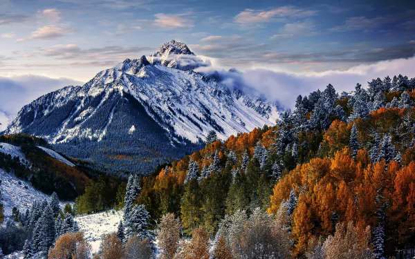 2K Quad HD nature desktop wallpaper: Mount Sneffles in Colorado rising above morning clouds, a snow-capped peak overlooking colorful fall aspen forest in the foreground.