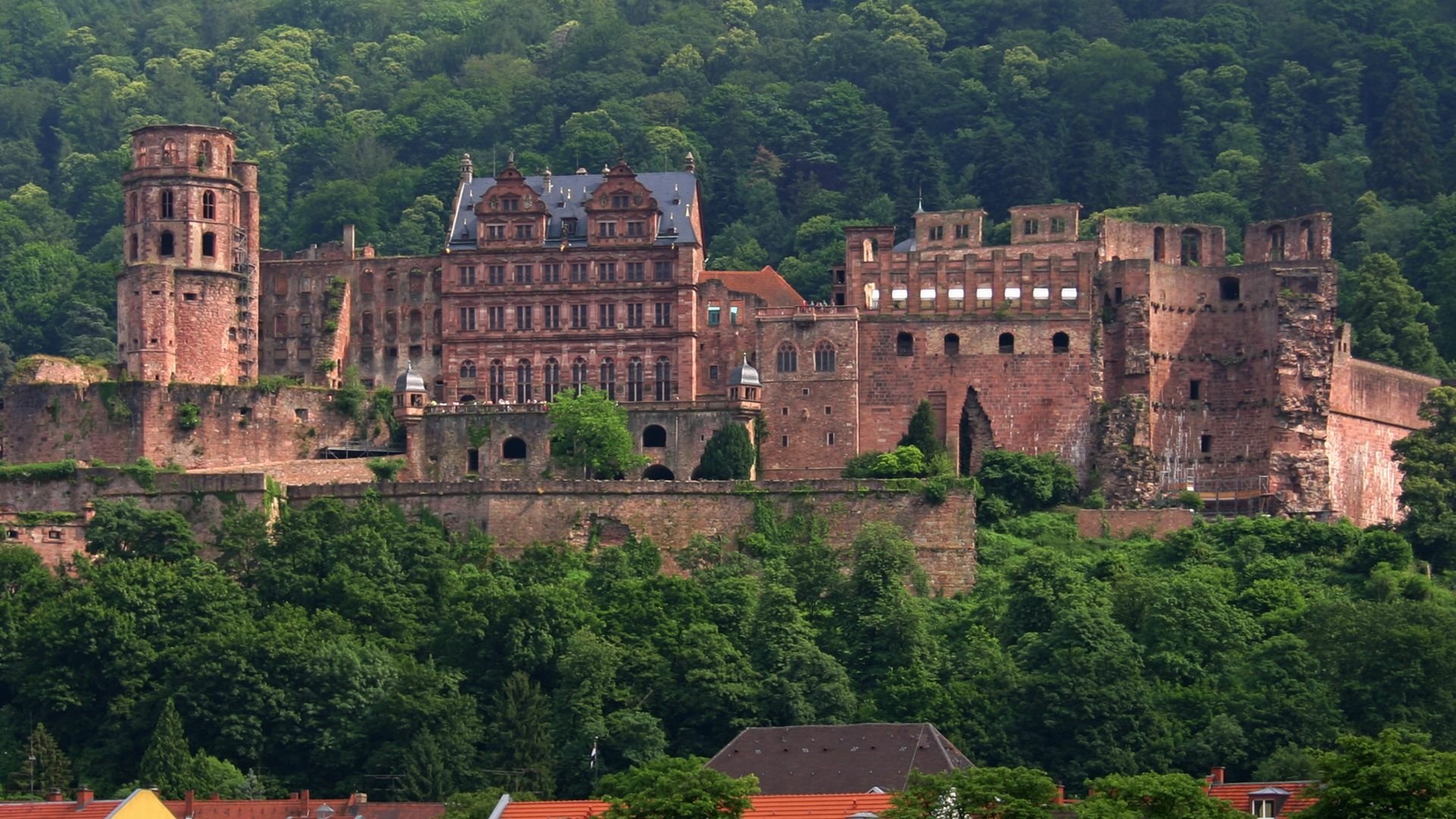 Heidelberg Castle HD Wallpaper Background Image 1920x1080 ID