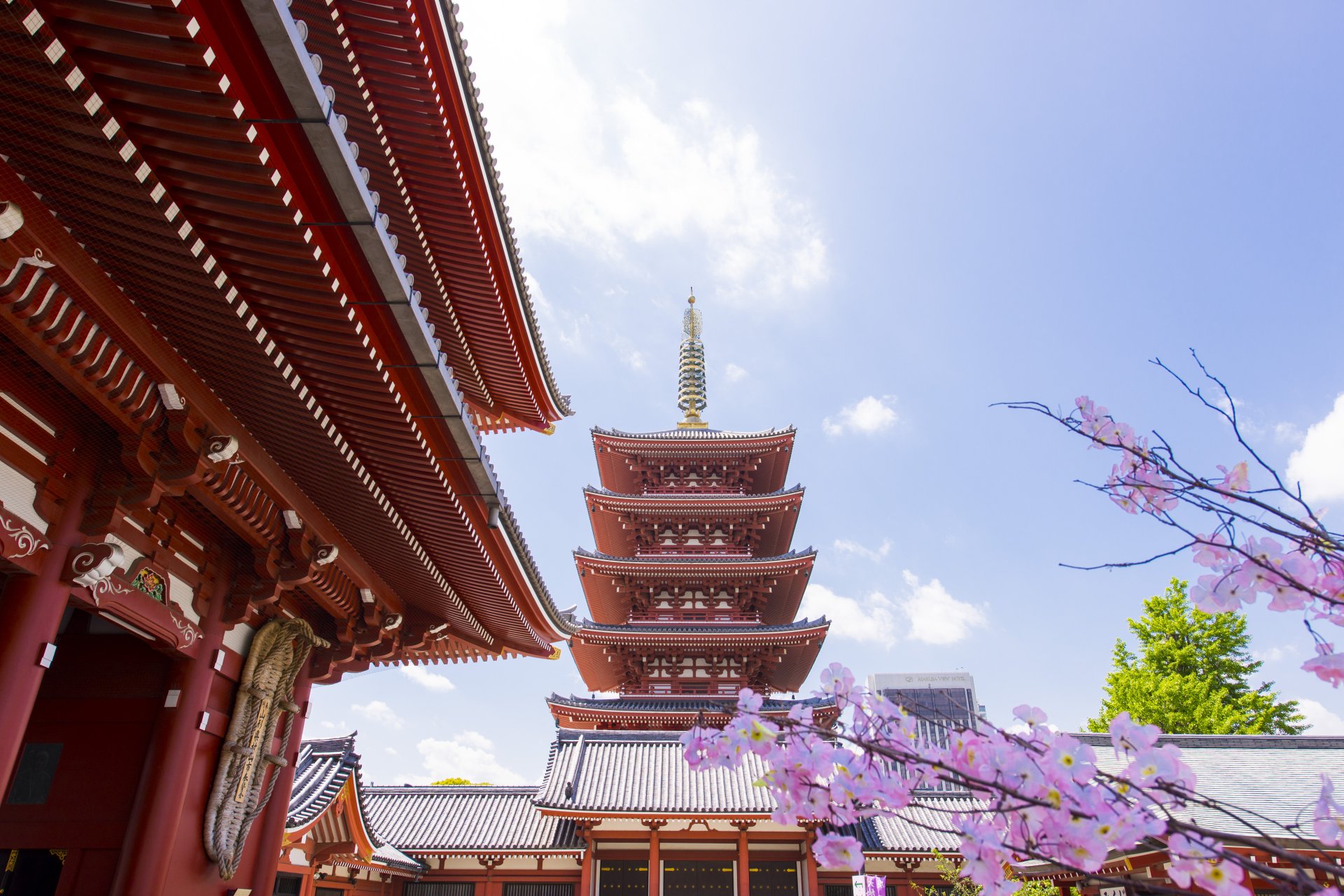 Spring blossoms frame the iconic pagoda and temple buildings of Sensō-ji in Tokyo, Japan, captured in vibrant 4K Ultra HD detail.