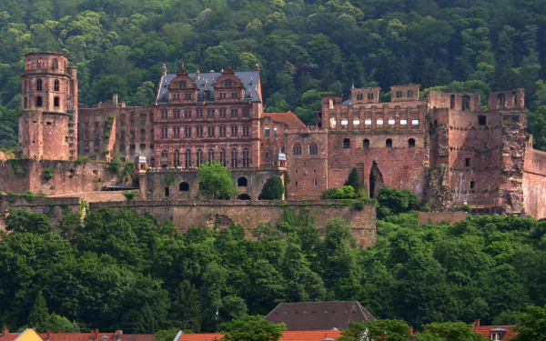 man made Heidelberg Castle HD Desktop Wallpaper | Background Image