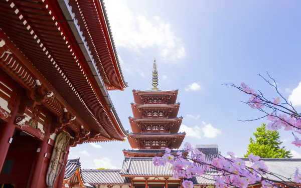 Spring blossoms frame the iconic pagoda and temple buildings of Sensō-ji in Tokyo, Japan, captured in vibrant 4K Ultra HD detail.