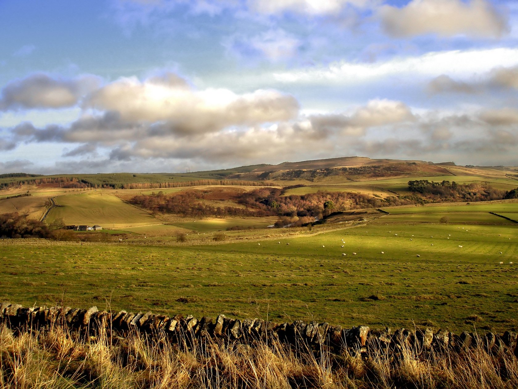 HD PC desktop wallpaper showcasing a serene nature scene with rolling green fields under a partly cloudy sky.