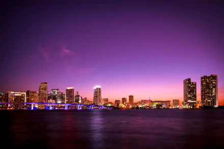 Florida man made Miami HD Desktop Wallpaper | Background Image