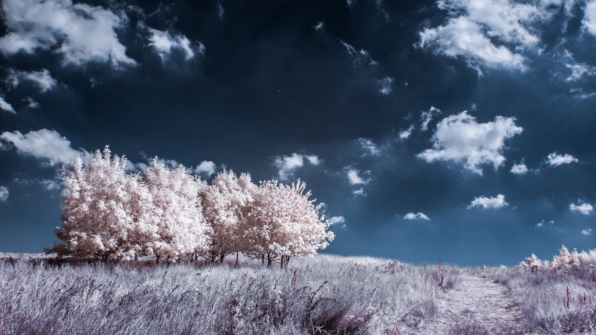 Download Nature Sky Cloud Tree Path Landscape HD Wallpaper by Les W ...